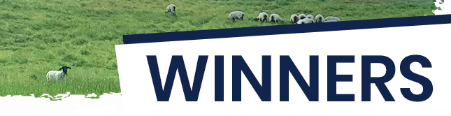 Winners